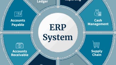 ERP cloud