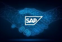 SAP partner
